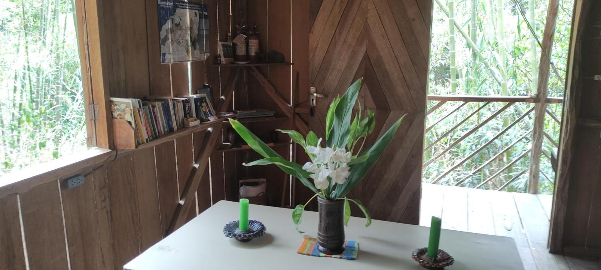 Rumi Wilco Ecolodge & Nature Reserve-Cabanas & Camping Vilcabamba Εξωτερικό φωτογραφία