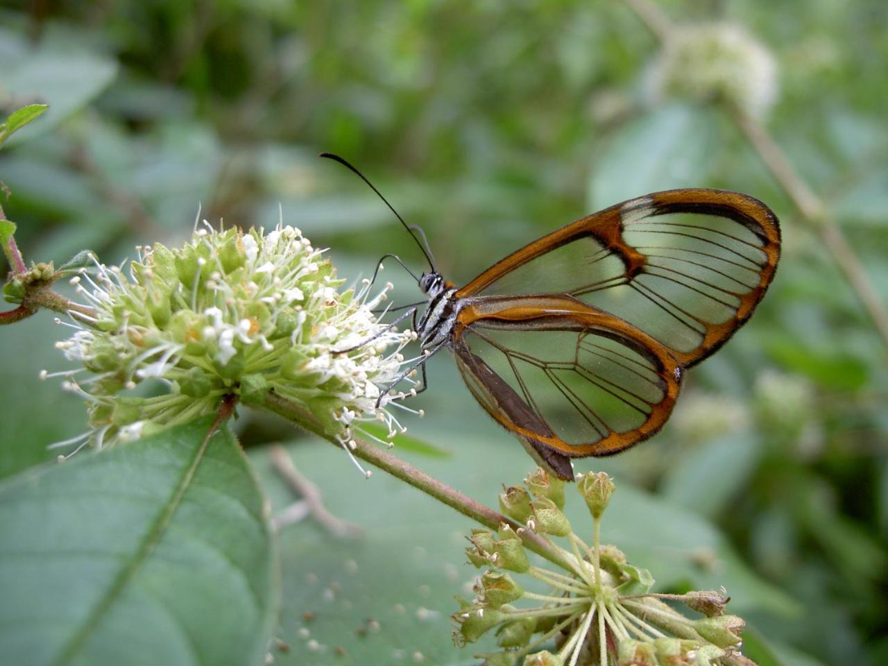 Rumi Wilco Ecolodge & Nature Reserve-Cabanas & Camping Vilcabamba Εξωτερικό φωτογραφία